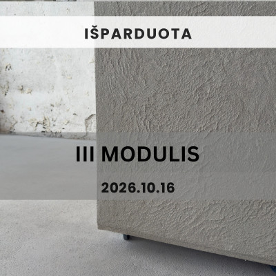 Sienų dekoravimo mokymai III modulis, Kaunas | MR. CLAY