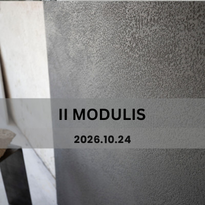 Sienų dekoravimo mokymai II modulis, Kaunas | MR. CLAY