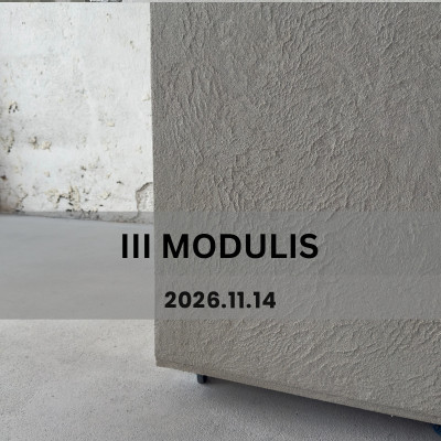 Sienų dekoravimo mokymai III modulis, Kaunas | MR. CLAY